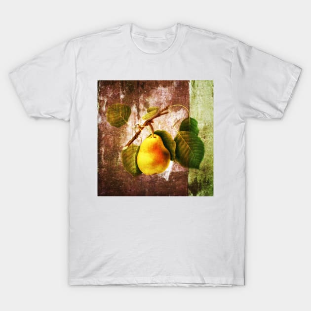 Pear On The Branch T-Shirt by JimDeFazioPhotography